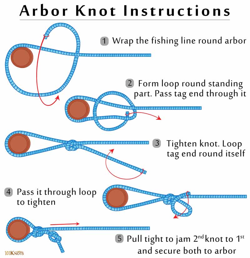 Best Camping Knot: How To Tie The Arbor Knot (+Infographic)