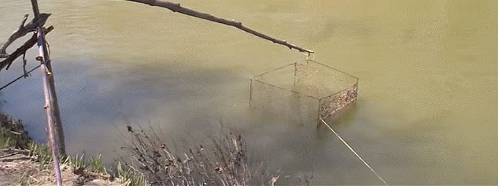 Primitive Fishing Traps