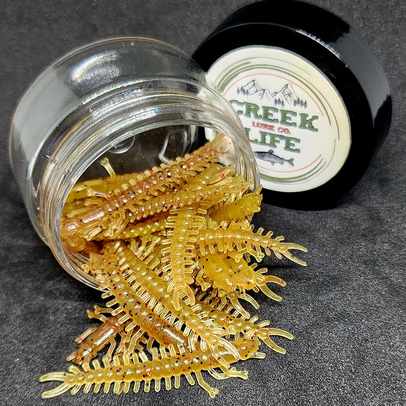 Jar of 1.8" Inch Micro Hellgrammite "The Ditch Devil"