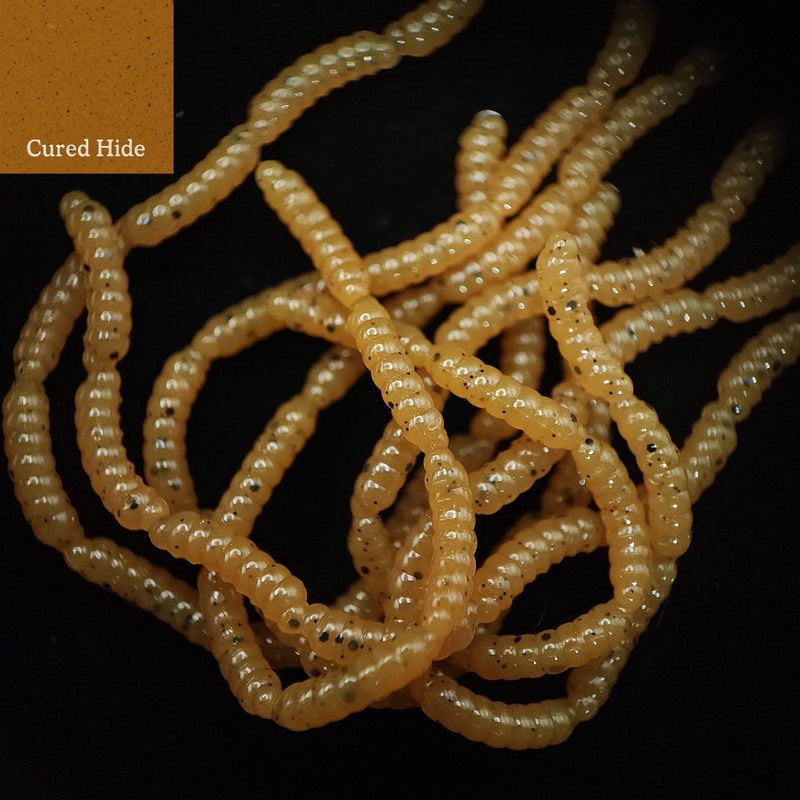 Jar of 0.5" Inch Micro Maggot Fly Larvae "The Apple Maggot"