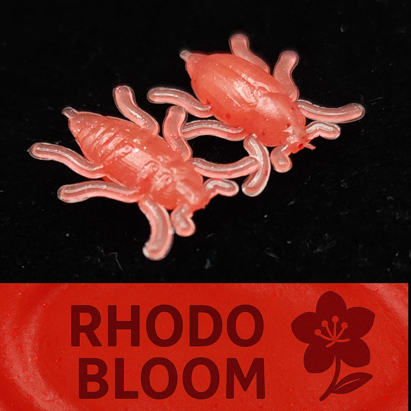 Jar of 0.5" Half Inch Micro Beetle "Toe Biter"