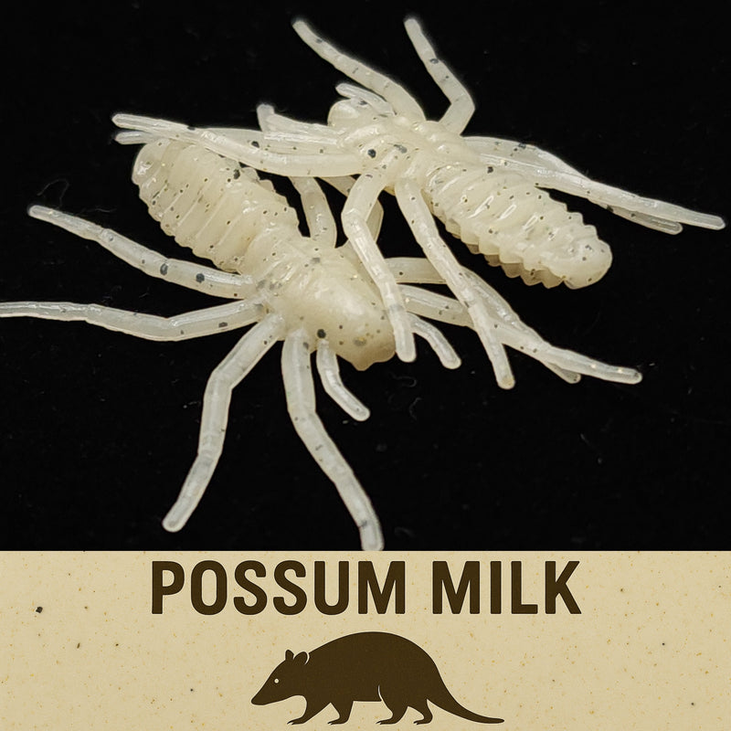 Jar of 1" Micro Spider Bait "The Writing Spider"