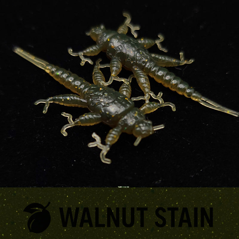 Jar of 1.5" Inch Stonefly Larvae "The Morelkin"