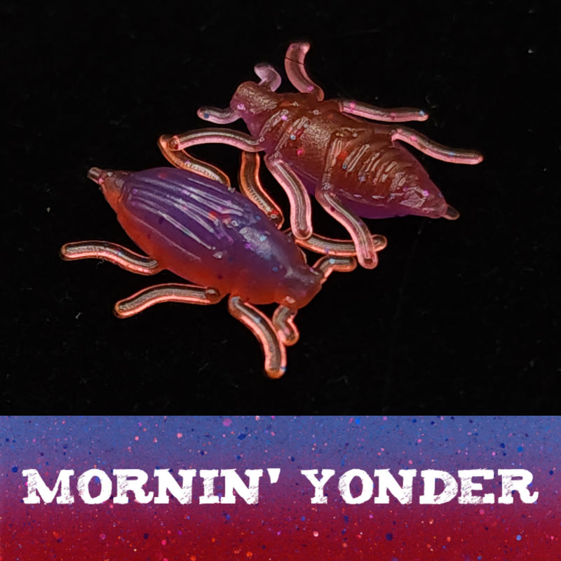 Jar of 0.5" Half Inch Micro Beetle "Toe Biter"