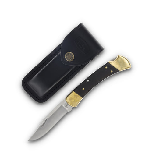 Buck 110 Folding Hunting Knife