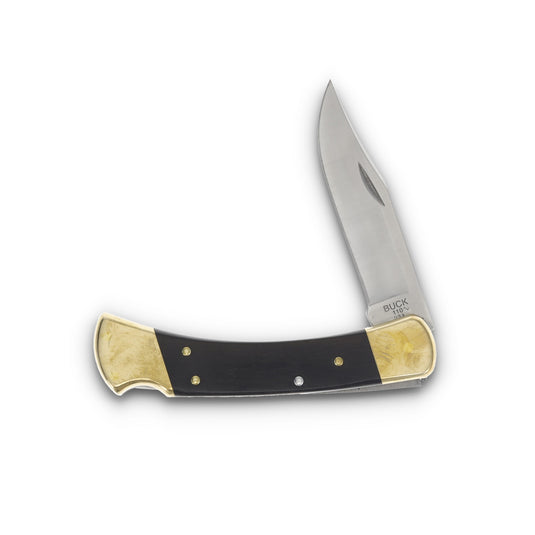 Buck 110 Folding Hunting Knife