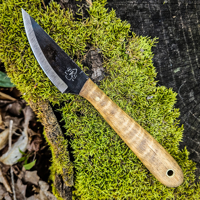 Camp Companion (Forged)