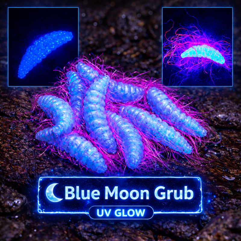 1" Hairy Waxworm "The Fuzz Grub" 8 Per Pack