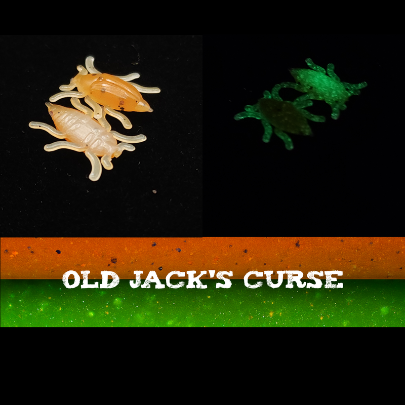 Jar of 0.5" Half Inch Micro Beetle "Toe Biter"