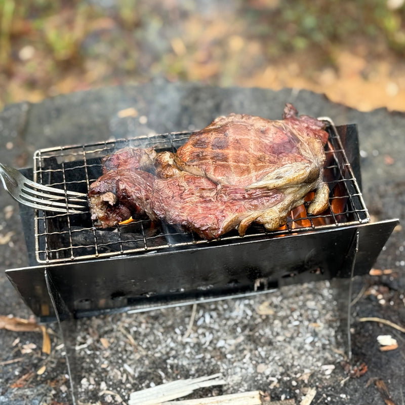 Fast Pack Camp Grill 2.0