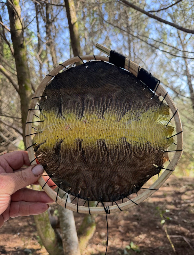 BUSHCRAFT 101 - Florida Everglades