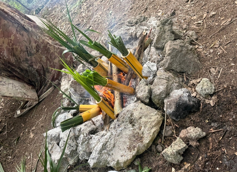 BUSHCRAFT 101 - Florida Everglades