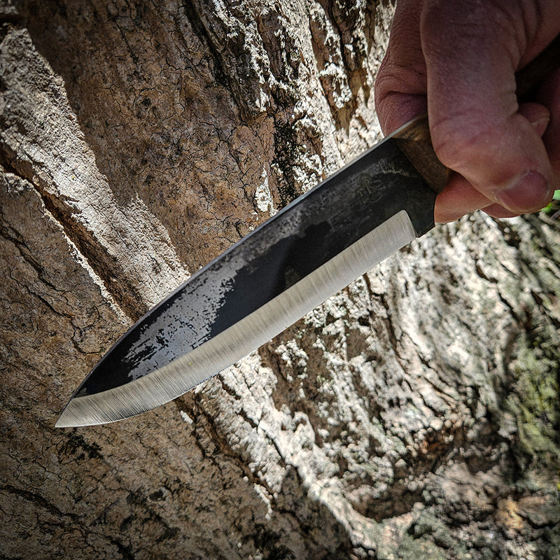 Mountain Lion (Forged)
