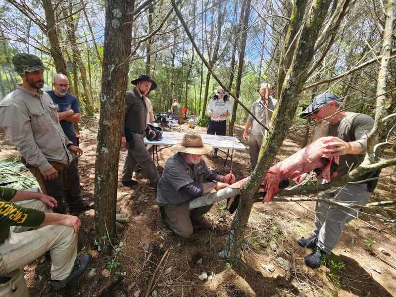 BUSHCRAFT 101 - Florida Everglades