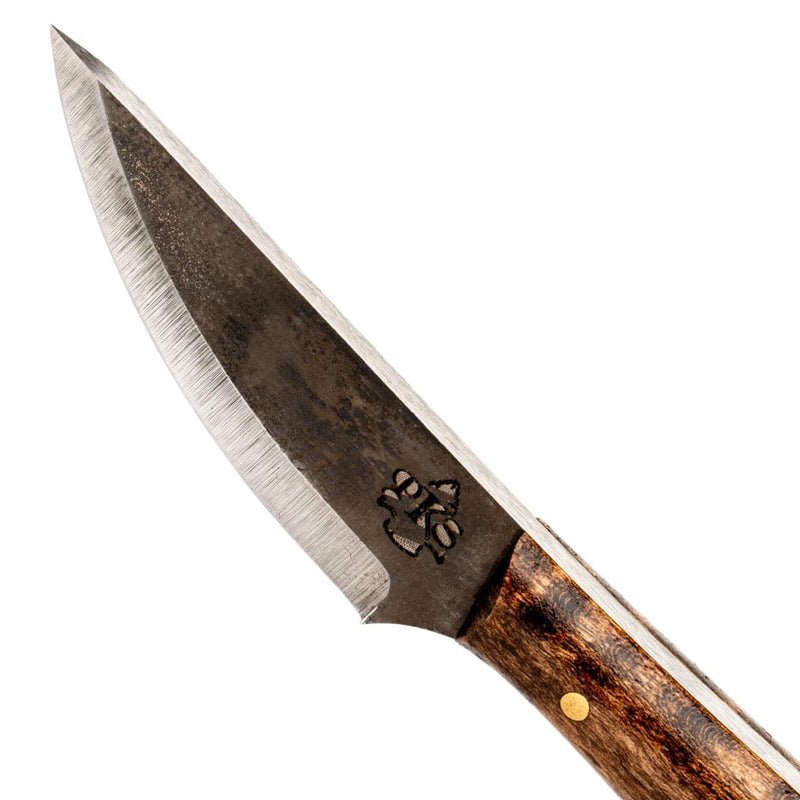 Camp Companion (Forged)