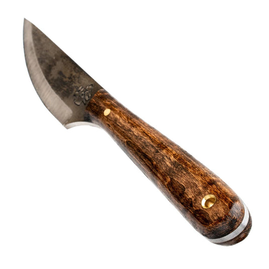 Camp Companion (Forged)