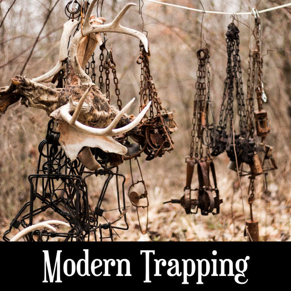 Modern Trapping Class