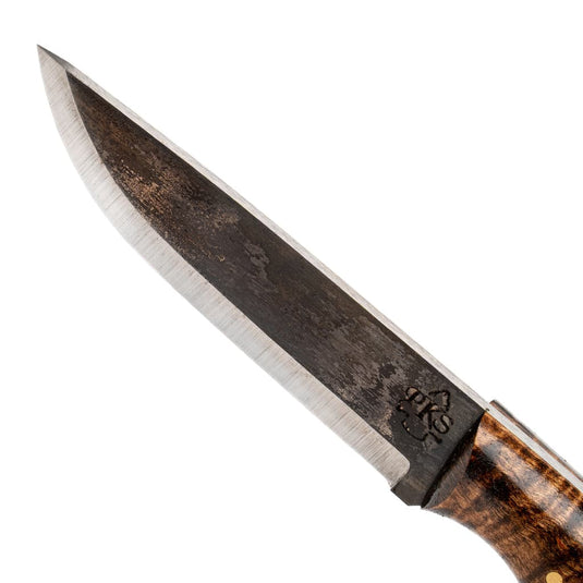 Scorpion with SL Sheath