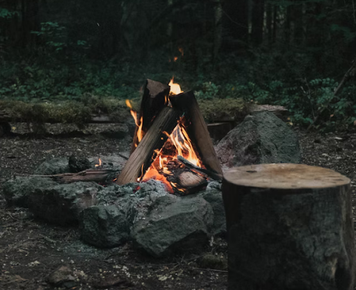 Survival blog on sale