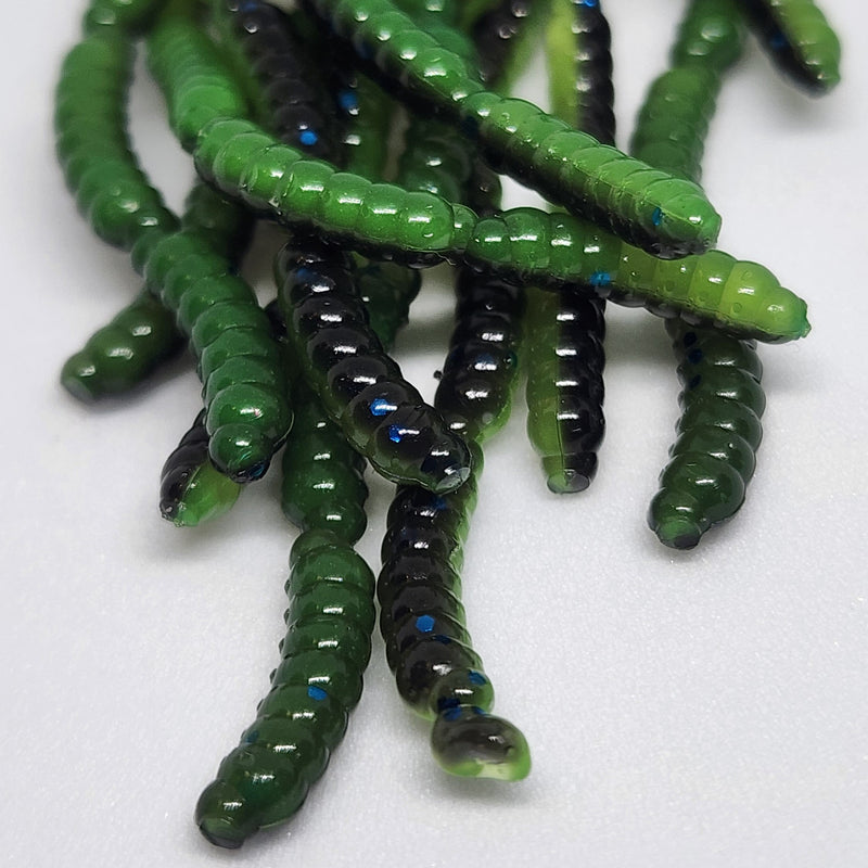 Jar of 0.5" Inch Micro Maggot Fly Larvae "The Apple Maggot"
