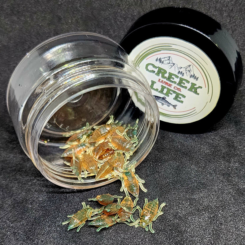 Jar of 0.5" Half Inch Micro Beetle "Toe Biter"
