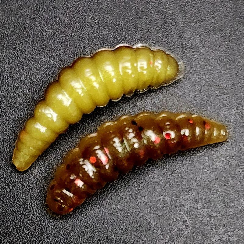 1" Waxworm "The Tater Bug" 8 Per Pack
