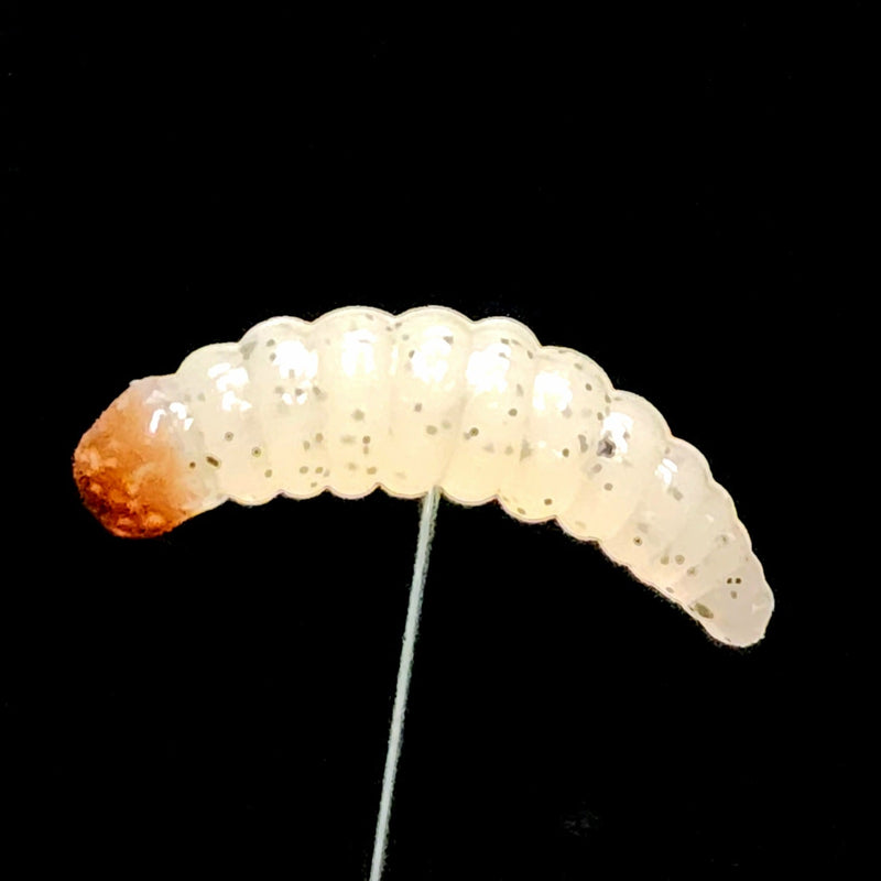 1" Waxworm "The Tater Bug" 8 Per Pack
