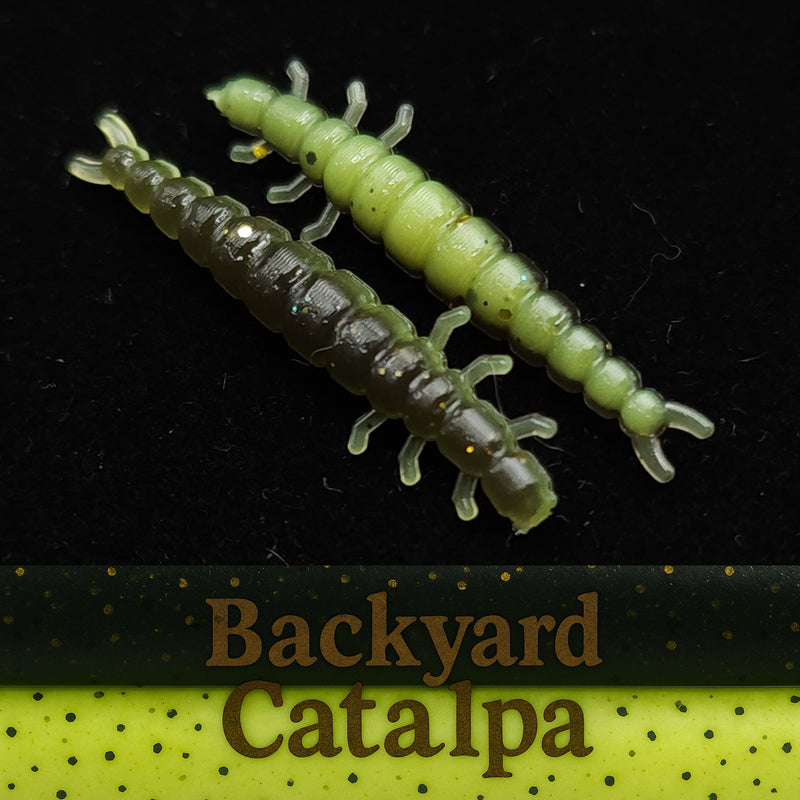 Jar of 1.3" Caddis Fly Larvae "Stream Weaver"
