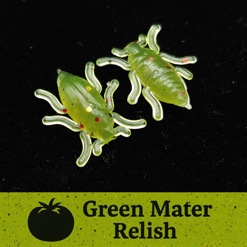 Jar of 0.5" Half Inch Micro Beetle "Toe Biter"
