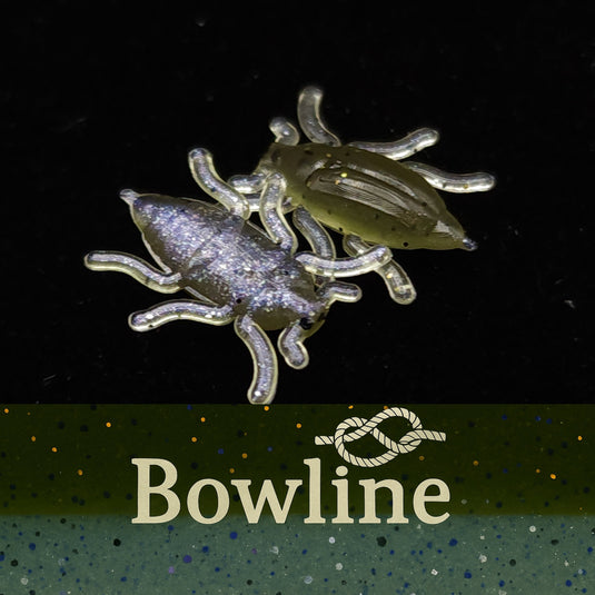 Jar of 0.5" Half Inch Micro Beetle "Toe Biter"