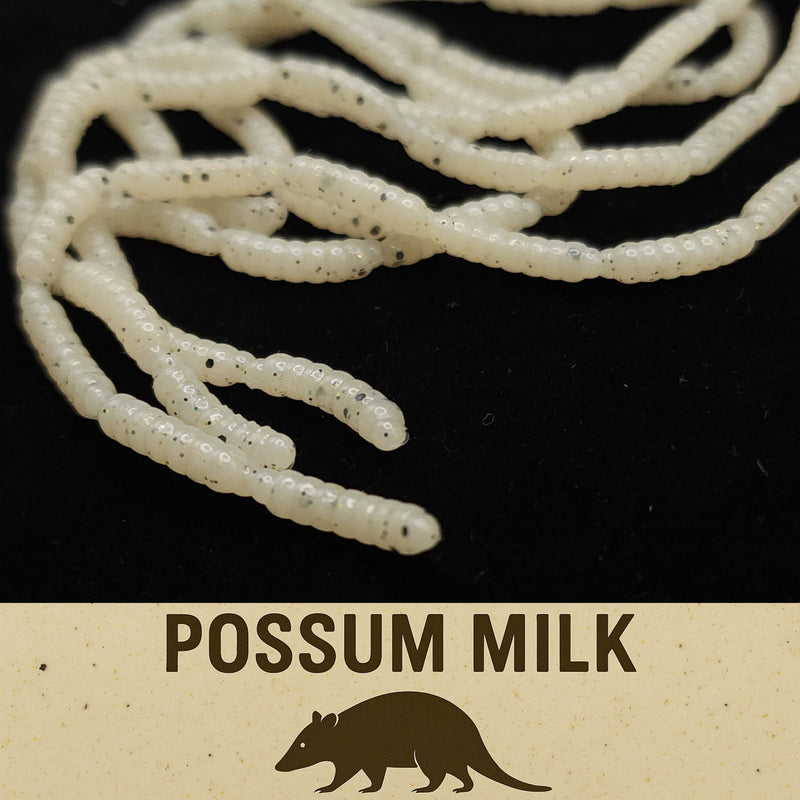 Jar of 0.5" Inch Micro Maggot Fly Larvae "The Apple Maggot"
