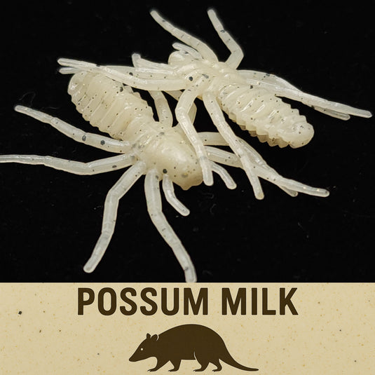 Jar of 1" Micro Spider Bait "The Writing Spider"