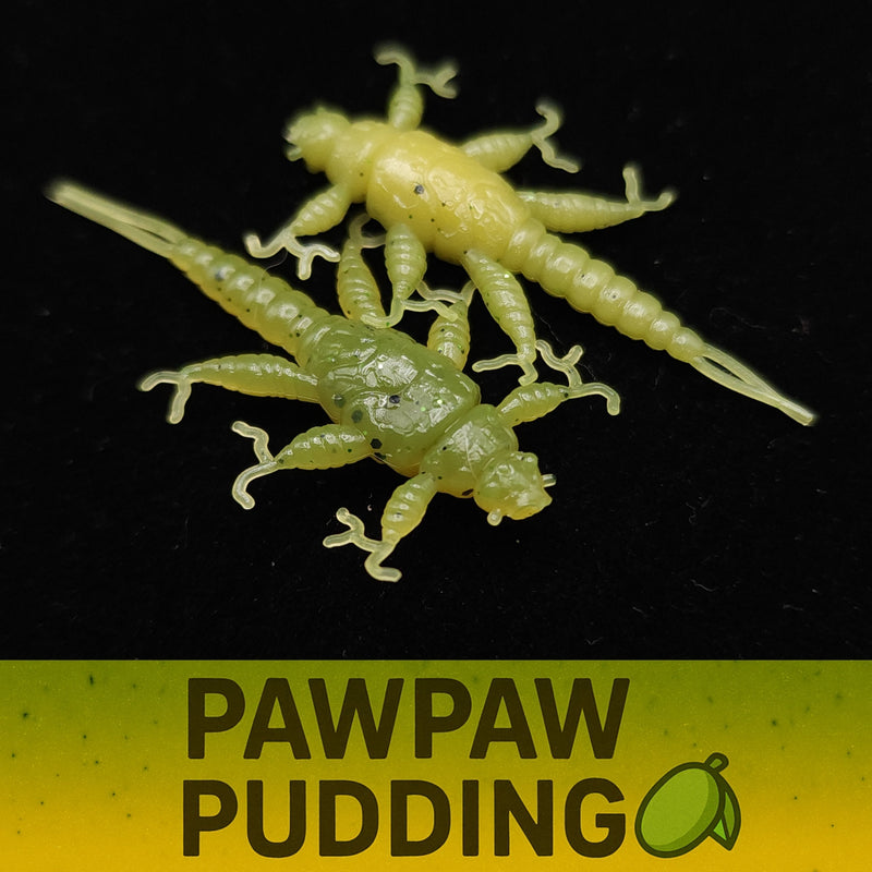 Jar of 1.5" Inch Stonefly Larvae "The Morelkin"
