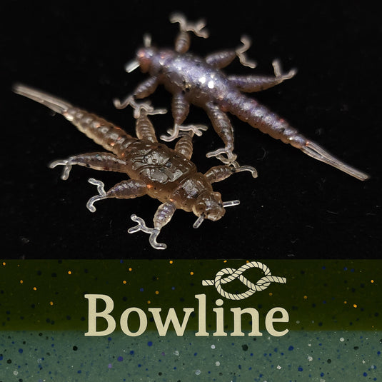 Jar of 1.5" Inch Stonefly Larvae "The Morelkin"