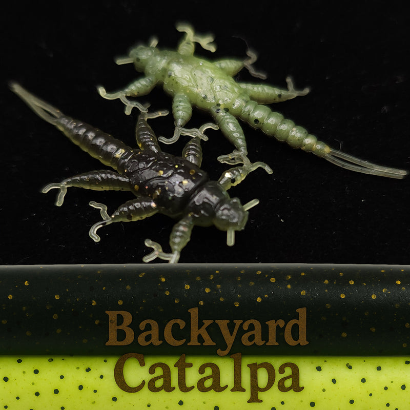 Jar of 1.5" Inch Stonefly Larvae "The Morelkin"
