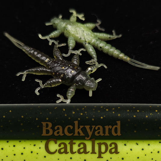 Jar of 1.5" Inch Stonefly Larvae "The Morelkin"