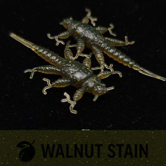 Jar of 1.5" Inch Stonefly Larvae "The Morelkin"