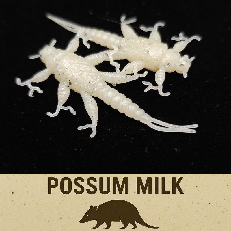 Jar of 1.5" Inch Stonefly Larvae "The Morelkin"
