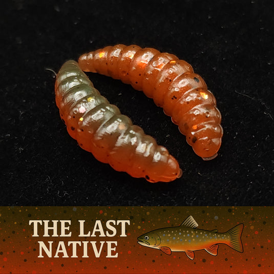 1" Waxworm "The Tater Bug" 8 Per Pack