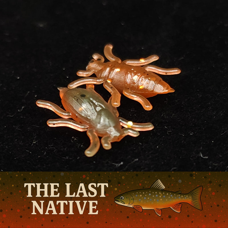 0.5" Half Inch Micro Beetle "Toe Biter"
