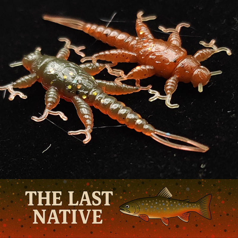 Jar of 1.5" Inch Stonefly Larvae "The Morelkin"
