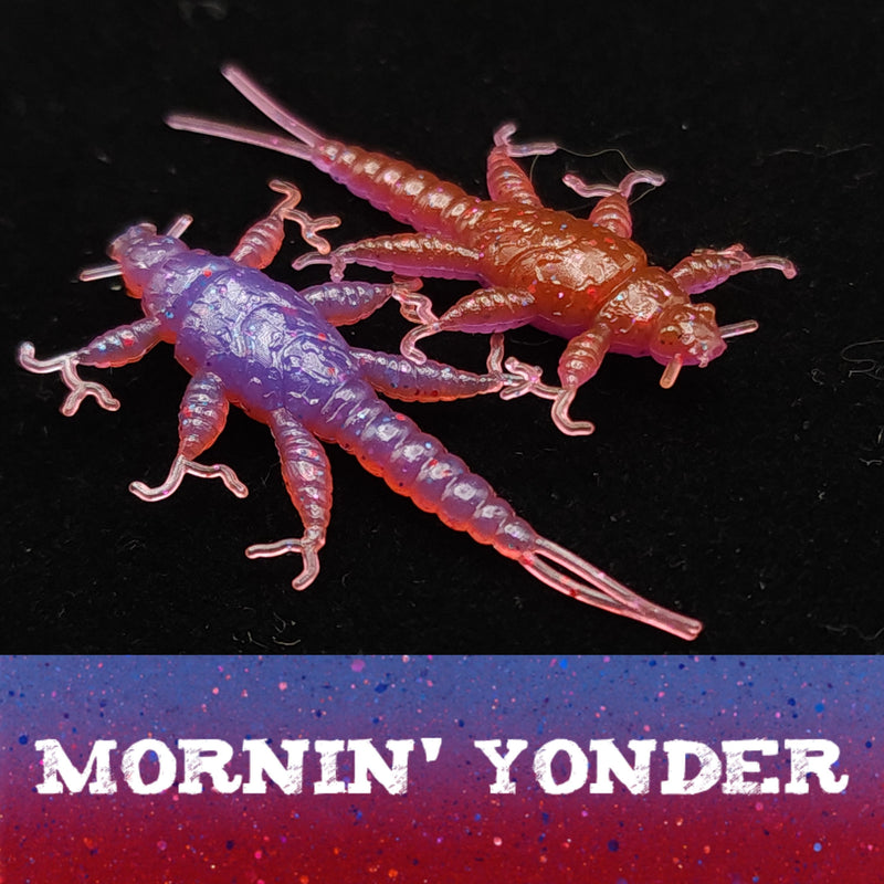 Jar of 1.5" Inch Stonefly Larvae "The Morelkin"
