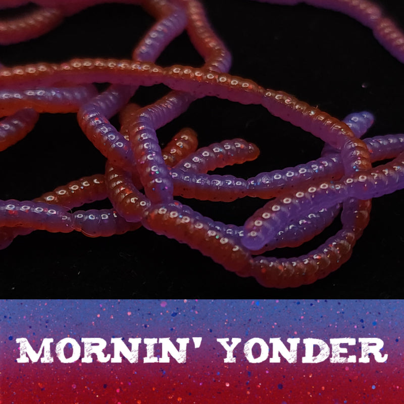 Jar of 0.5" Inch Micro Maggot Fly Larvae "The Apple Maggot"
