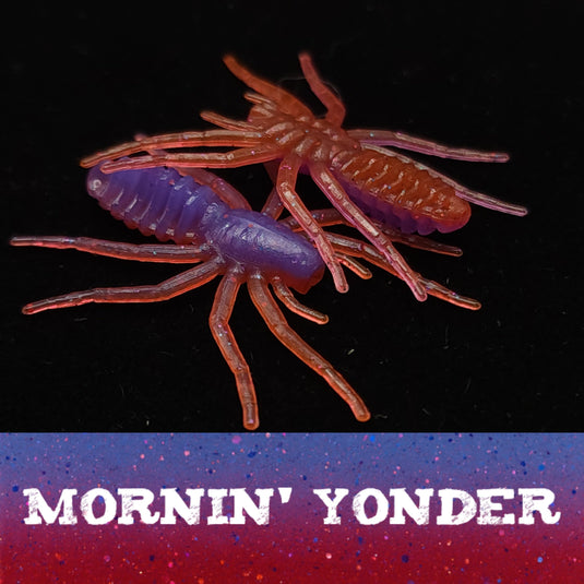 Jar of 1" Micro Spider Bait "The Writing Spider"