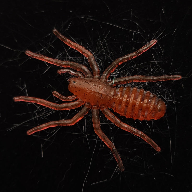 Hairy 1" Micro Spider Bait "The Writing Spider"
