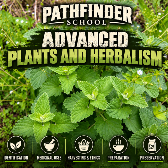 Advanced Plants and Herbalism