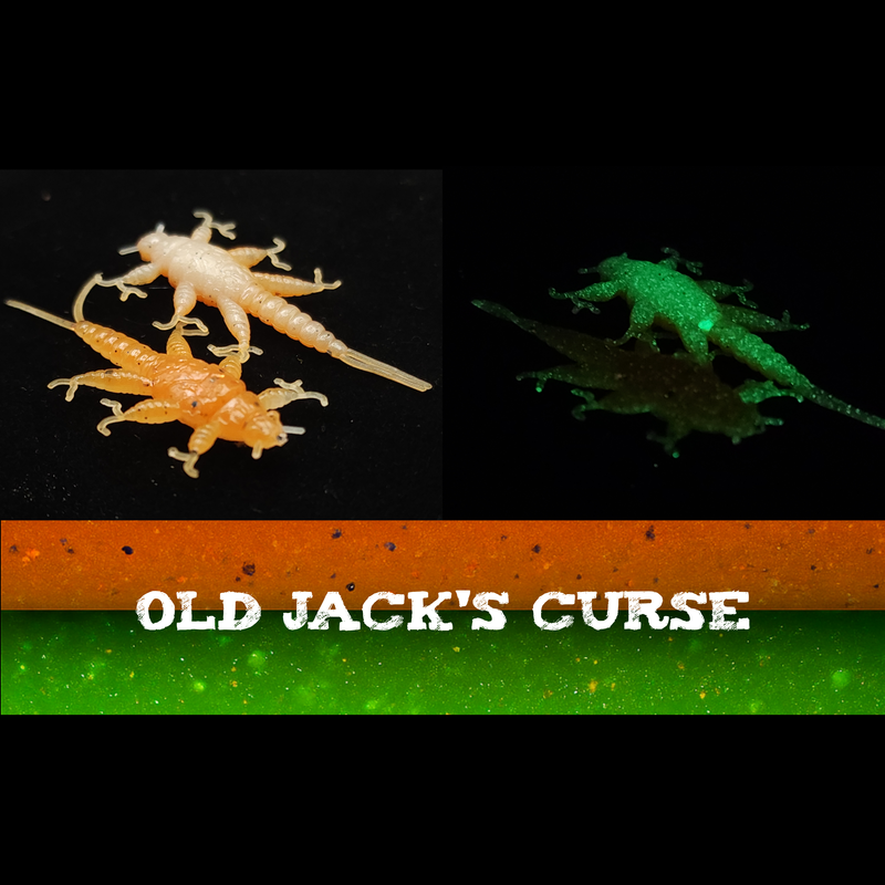 Jar of 1.5" Inch Stonefly Larvae "The Morelkin"
