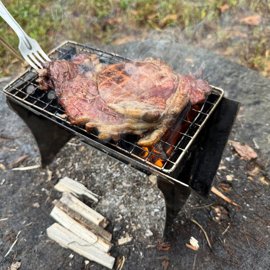 Fast Pack Camp Grill