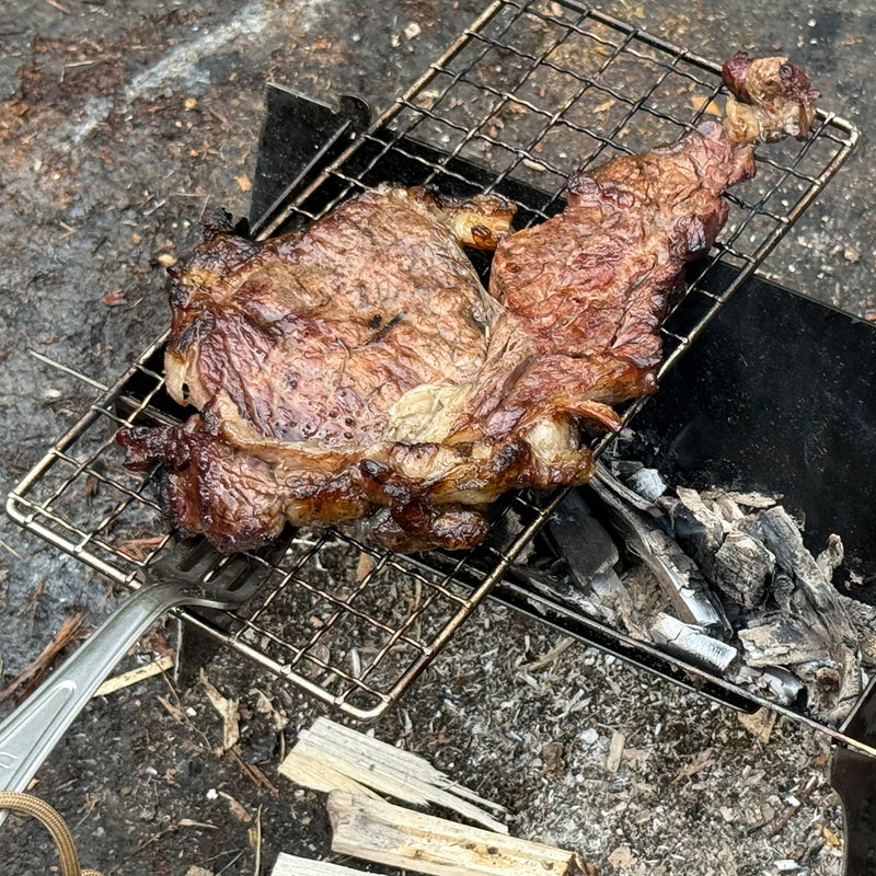 Fast Pack Camp Grill
