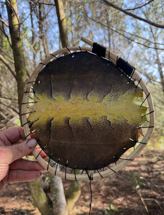 BUSHCRAFT 101 - Florida Everglades